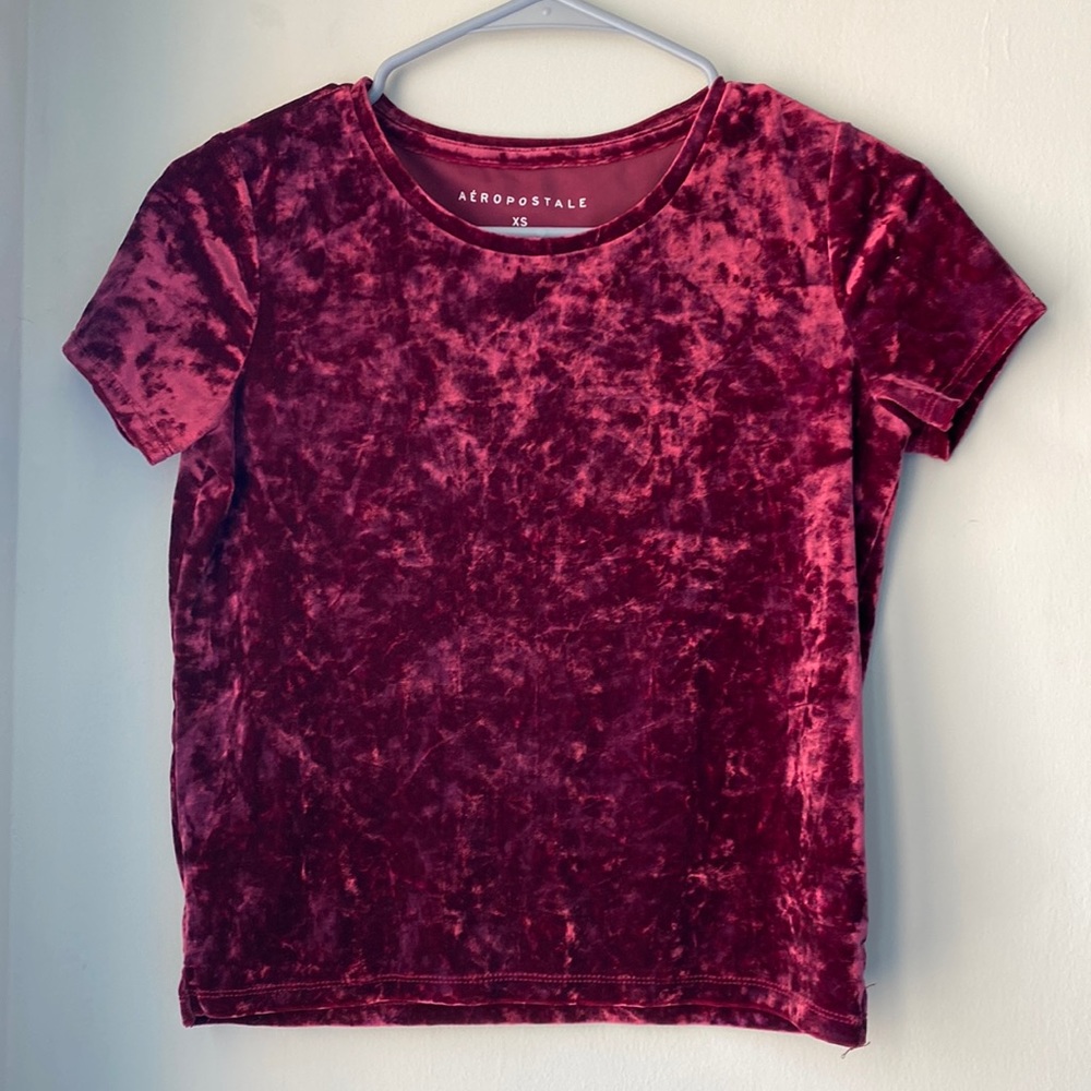 Velvet Cropped T